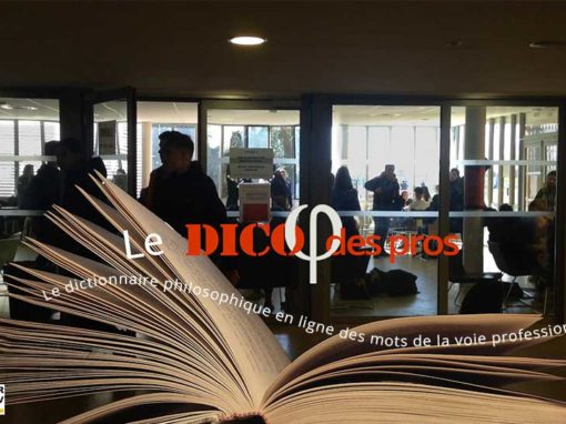 Les mots des pros #webdocumentaire #lycée
